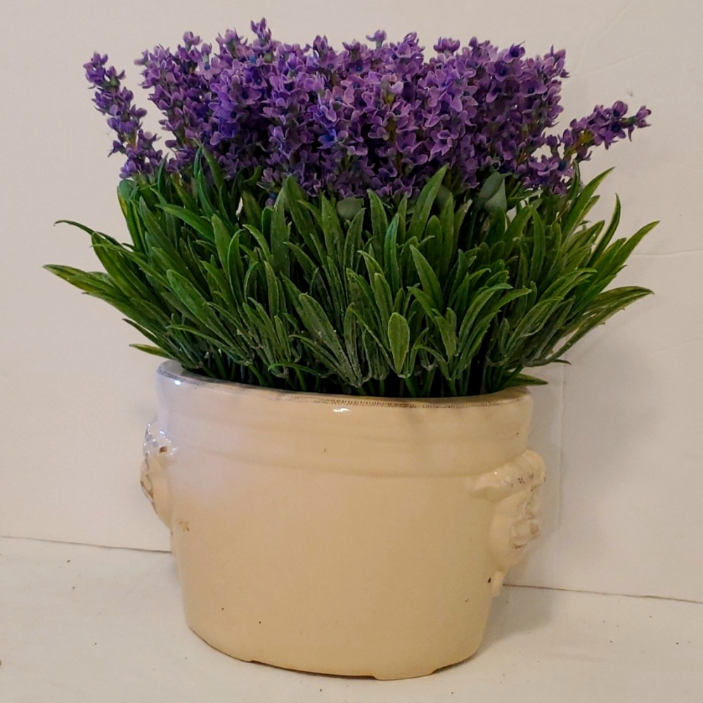 French Lavender And Vase